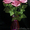 цветы,картины,сувениры,свадебные букеты из бисера на заказ - Изображение #6, Объявление #998185