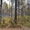Продам земельный участок на Байкале 7.5 га - Изображение #2, Объявление #1594402