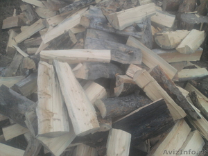 продам дрова дёшево колотые - Изображение #1, Объявление #1078588