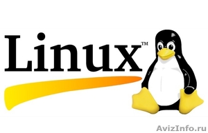 Настройка операционной системы Линукс - Изображение #1, Объявление #1290065